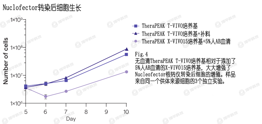 NucleofecterD(zhun)ȾT-VIVOB(yng)ṩߵD(zhun)Ⱦ󼚰ֳ ƽ