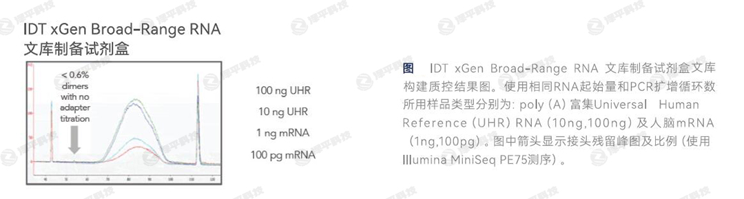 IDT xGen Broad-Range RNA Ď(k)Ƃԇо߂ͱĽ^w  ƽ